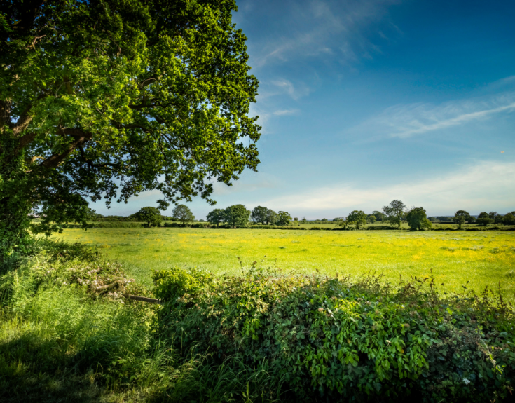Oak View, Atherstone Cameron Homes